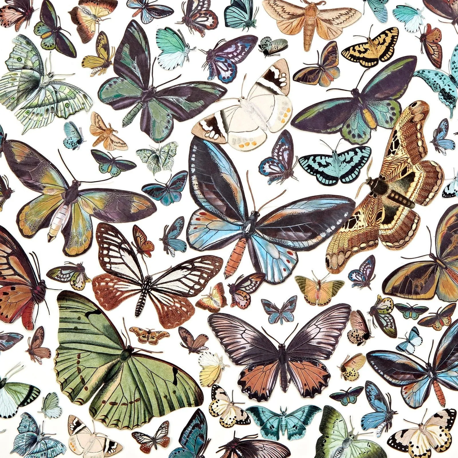 Laser Cut Outs Detailed Embellishments from 49 and Market