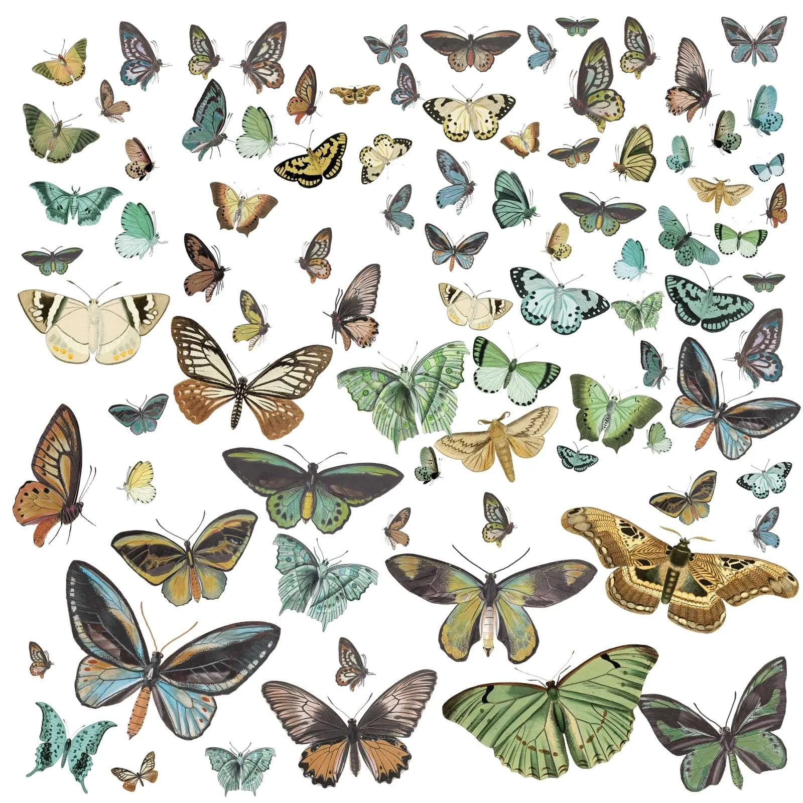 Laser Cut Outs Detailed Embellishments from 49 and Market