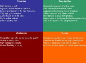 Mixed Martial Arts Gym SWOT Analysis Plus Business Plan