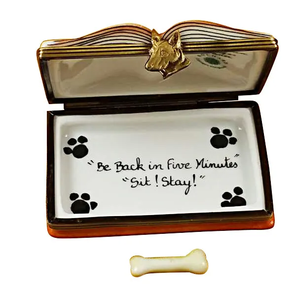 Veterinarian Book Limoges Porcelain Box