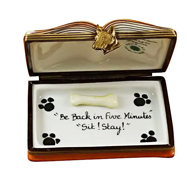 Veterinarian Book Limoges Porcelain Box
